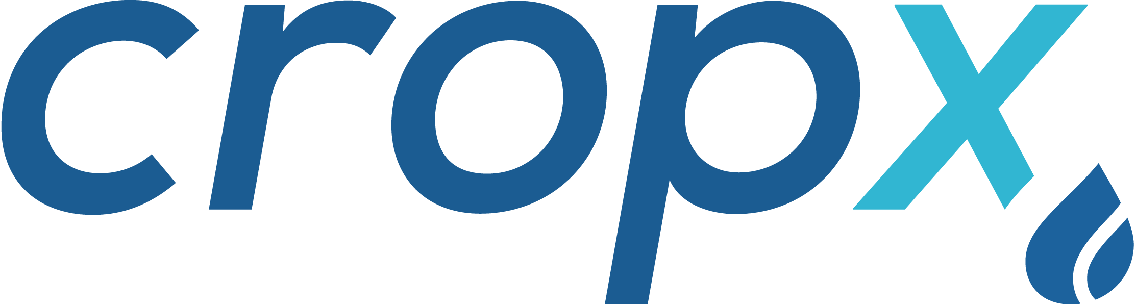 cropX